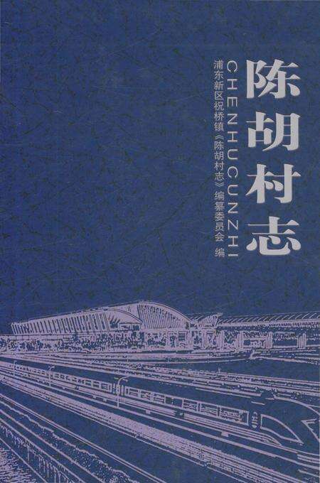《陈胡村志》.pdf电子版_上海市志缩略图