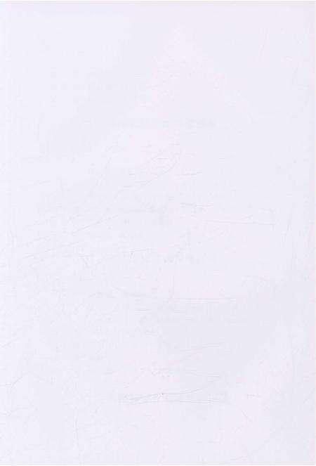 《温河村志》.pdf电子版_上海市志预览图4