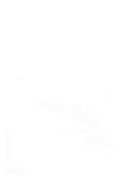 《横浦村志》.pdf电子版_上海市志预览图5