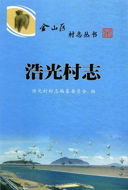 《浩光村志》.pdf电子版_上海市志缩略图