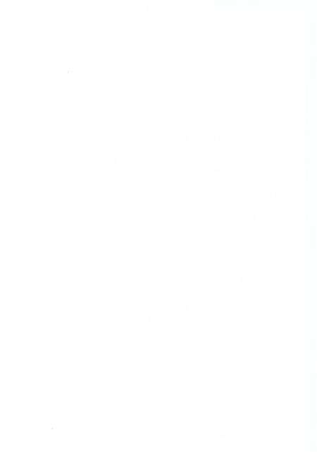 《保卫村志》.pdf电子版_上海市志预览图4