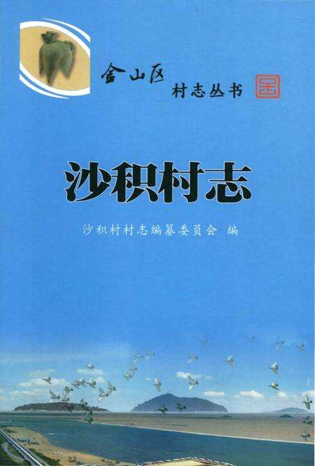 《沙积村志》.pdf电子版_上海市志缩略图