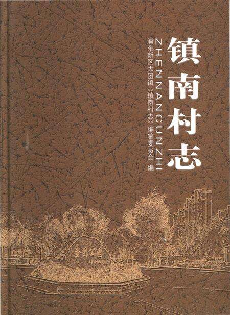 《镇南村志》.pdf电子版_上海市志缩略图