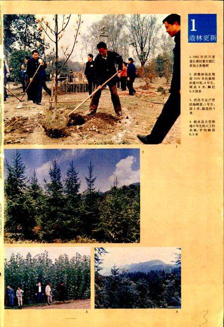 《四川林业志 上》.pdf电子版_四川省志预览图2