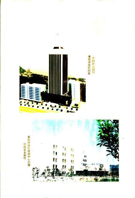 《四川农村金融志》.pdf电子版_四川省志预览图3