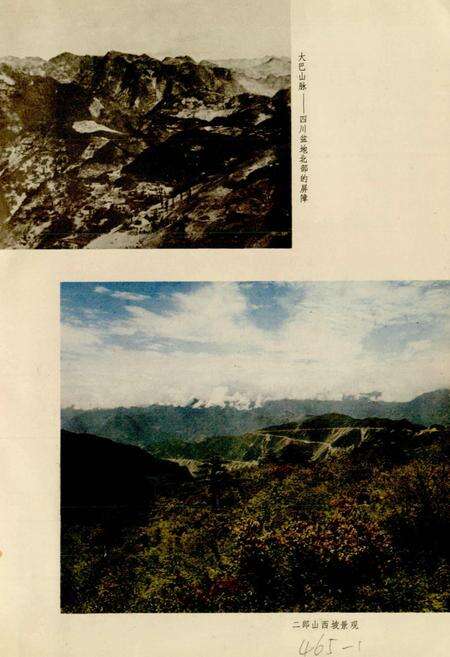 《四川植被》.pdf电子版_四川省志预览图3