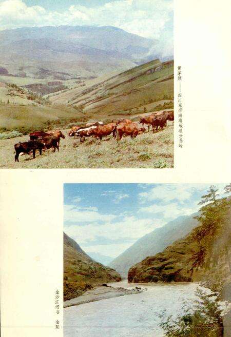 《四川植被》.pdf电子版_四川省志预览图4