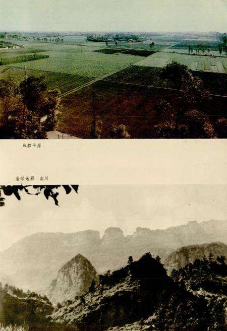 《四川植被》.pdf电子版_四川省志预览图5