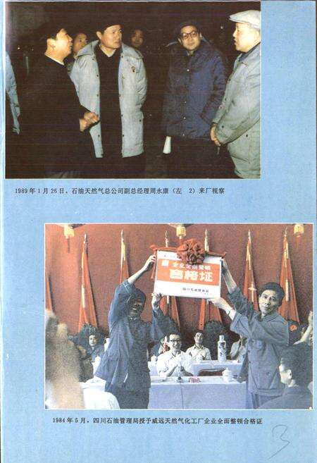 《四川省石油管理局威远天然气化工厂志》.pdf电子版_四川省志预览图4