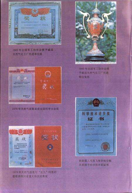 《四川省石油管理局威远天然气化工厂志》.pdf电子版_四川省志预览图5