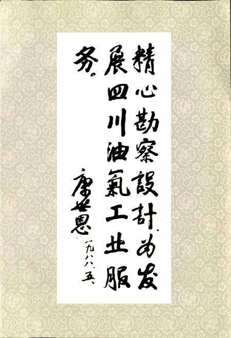 《四川省石油管理局勘察设计研究院志》.pdf电子版_四川省志预览图2