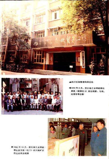 《四川省石油管理局供应处志》.pdf电子版_四川省志预览图3