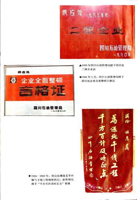《四川省石油管理局供应处志》.pdf电子版_四川省志预览图4