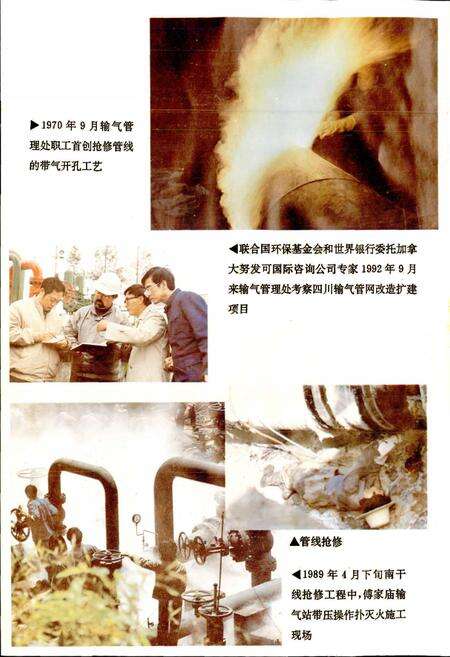 《四川省石油管理局输气管理处志》.pdf电子版_四川省志预览图5
