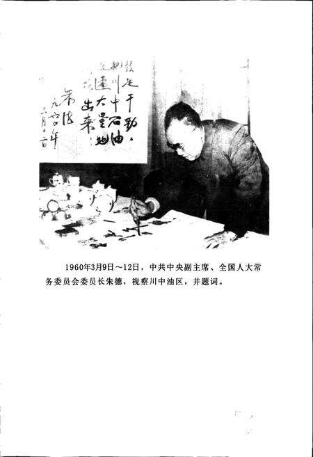 《四川省石油管理局川中矿区志》.pdf电子版_四川省志预览图4