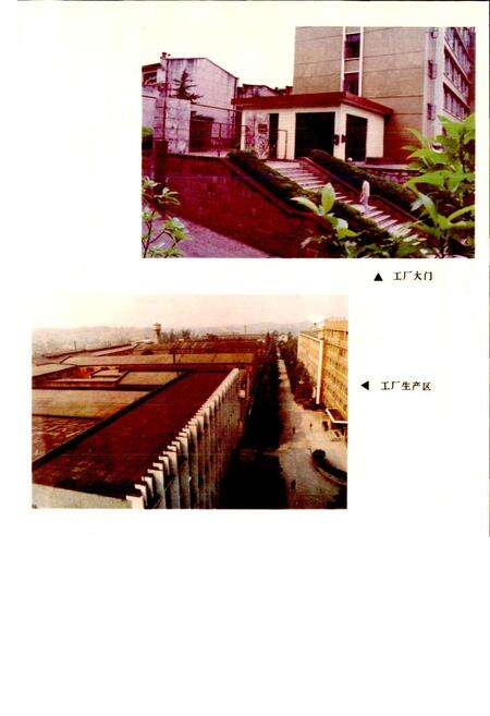 《四川省石油管理局资中机械厂志》.pdf电子版_四川省志预览图3