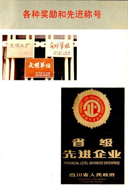 《四川省石油管理局资中机械厂志》.pdf电子版_四川省志预览图5