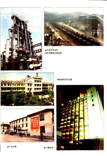 《四川省石油管理局南充炼油厂志》.pdf电子版_四川省志预览图5