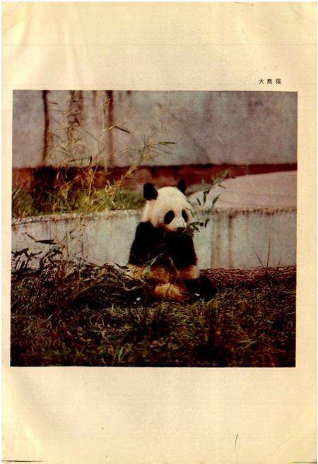 《四川资源动物志 第一卷 总论》.pdf电子版_四川省志预览图2