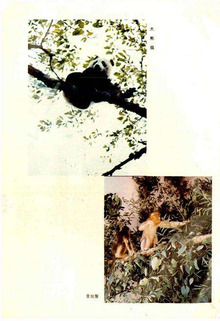 《四川资源动物志 第一卷 总论》.pdf电子版_四川省志预览图3