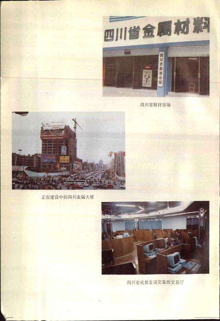《四川省物资志》.pdf电子版_四川省志预览图5