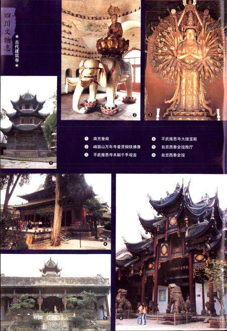 《四川文物志 中册》.pdf电子版_四川省志预览图5