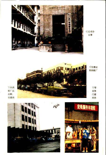 《成都市食品公司志》.pdf电子版_四川省志预览图3