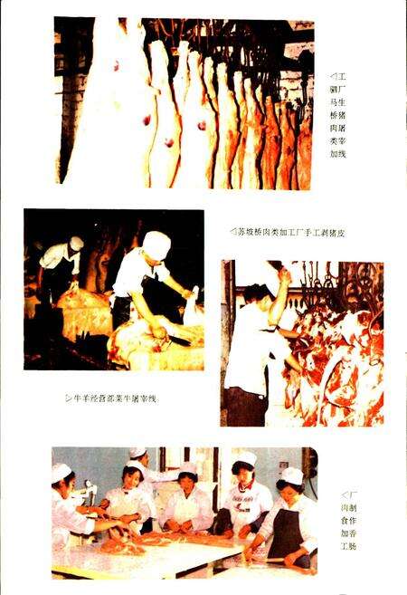 《成都市食品公司志》.pdf电子版_四川省志预览图4