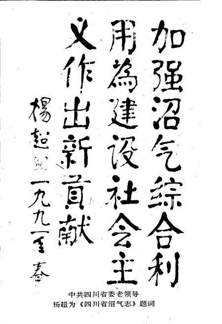 《四川省沼气志》.pdf电子版_四川省志预览图2