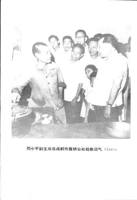 《四川省沼气志》.pdf电子版_四川省志预览图4