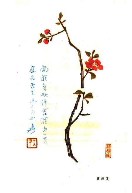 《望江楼志》.pdf电子版_四川省志预览图5