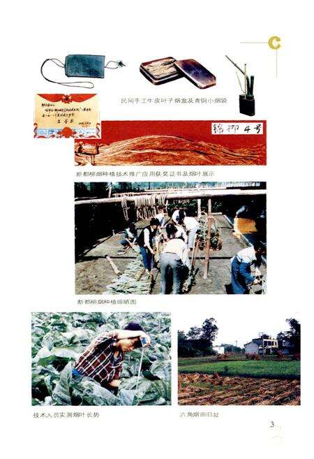 《新都区烟草志》.pdf电子版_四川省志预览图4