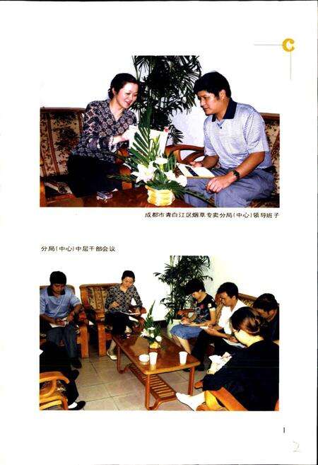 《青白江区烟草志》.pdf电子版_四川省志预览图4