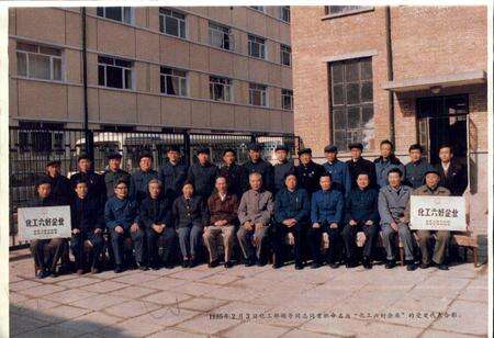 《成都化肥厂厂志》.pdf电子版_四川省志预览图3