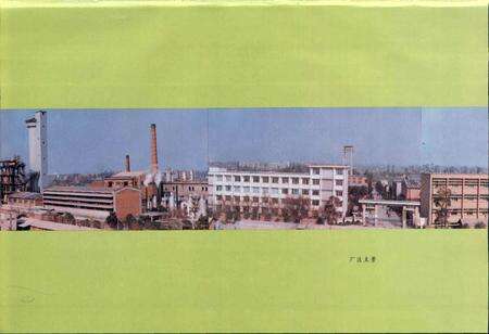 《成都化肥厂厂志》.pdf电子版_四川省志预览图5