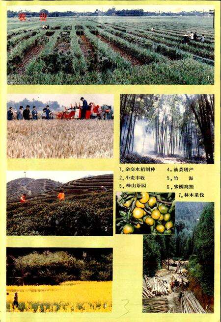 《邛崃县志》.pdf电子版_四川省志预览图4