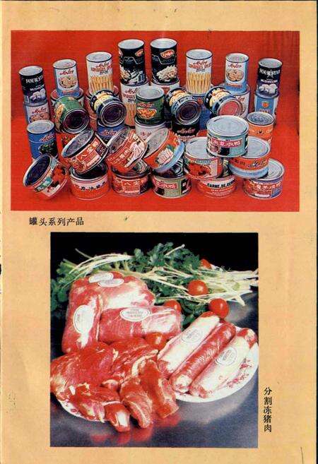 《绵阳市对外经济贸易志》.pdf电子版_四川省志预览图4