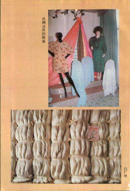 《绵阳市对外经济贸易志》.pdf电子版_四川省志预览图5