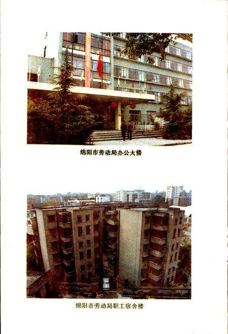 《绵阳市劳动志》.pdf电子版_四川省志预览图5