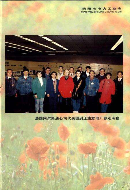 《绵阳市电力工业志》.pdf电子版_四川省志预览图5