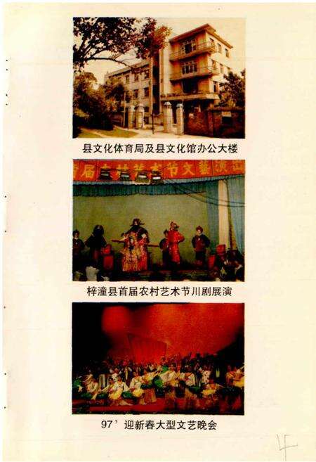 《梓潼县文化志》.pdf电子版_四川省志预览图5