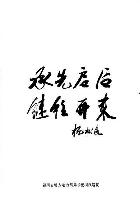 《三台县电力公司志》.pdf电子版_四川省志预览图3