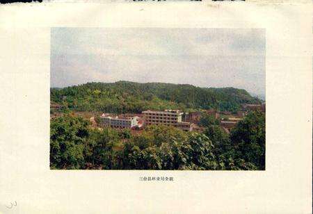 《三台县林业志》.pdf电子版_四川省志预览图4