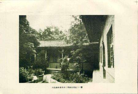 《三台县林业志》.pdf电子版_四川省志预览图5