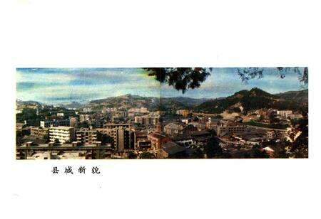 《盐亭县府志》.pdf电子版_四川省志预览图5