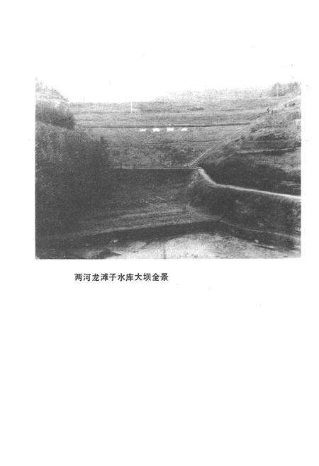 《四川省盐亭县水利电力志》.pdf电子版_四川省志预览图4