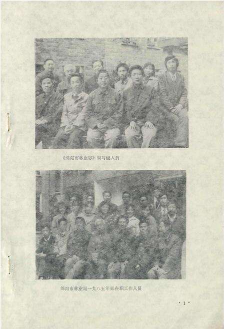 《绵阳市林业志》.pdf电子版_四川省志预览图2