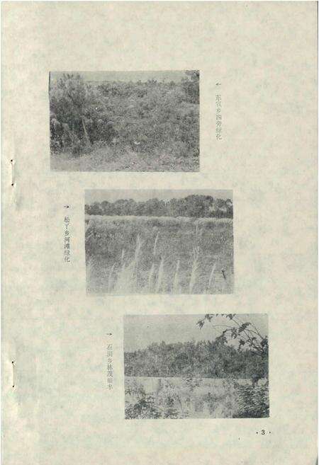 《绵阳市林业志》.pdf电子版_四川省志预览图4