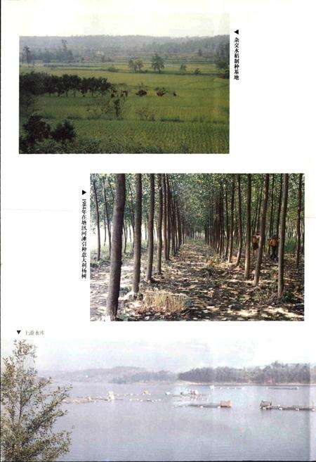 《绵阳（县级）市志》.pdf电子版_四川省志预览图4