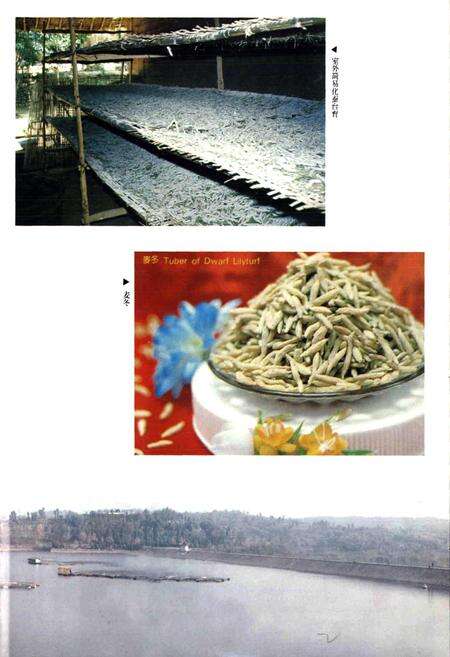 《绵阳（县级）市志》.pdf电子版_四川省志预览图5